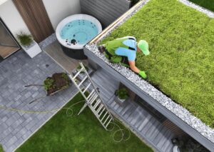 Subsidie groen dak of groene gevel